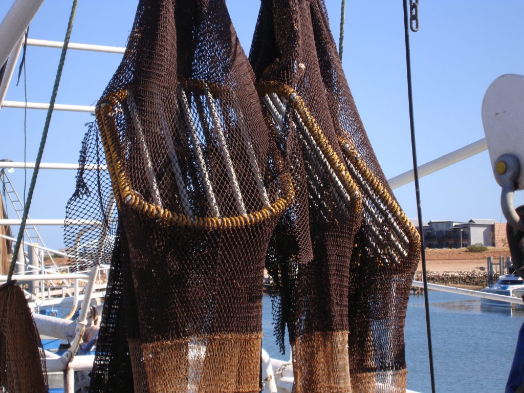 A TED is essentially a rigid grid or grate of evenly spaced bars placed between the trawl opening and the cod end. The TED allows for target species to pass through the grid whilst removing unwanted catch away from the fishing gear.