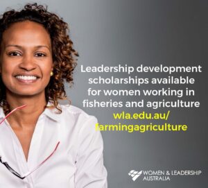 Scholarships-Available-600x541