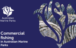 commercial_fishing