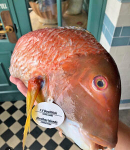 Fish