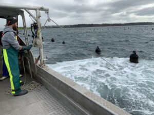 Harvest Road Aquaculture - Albany