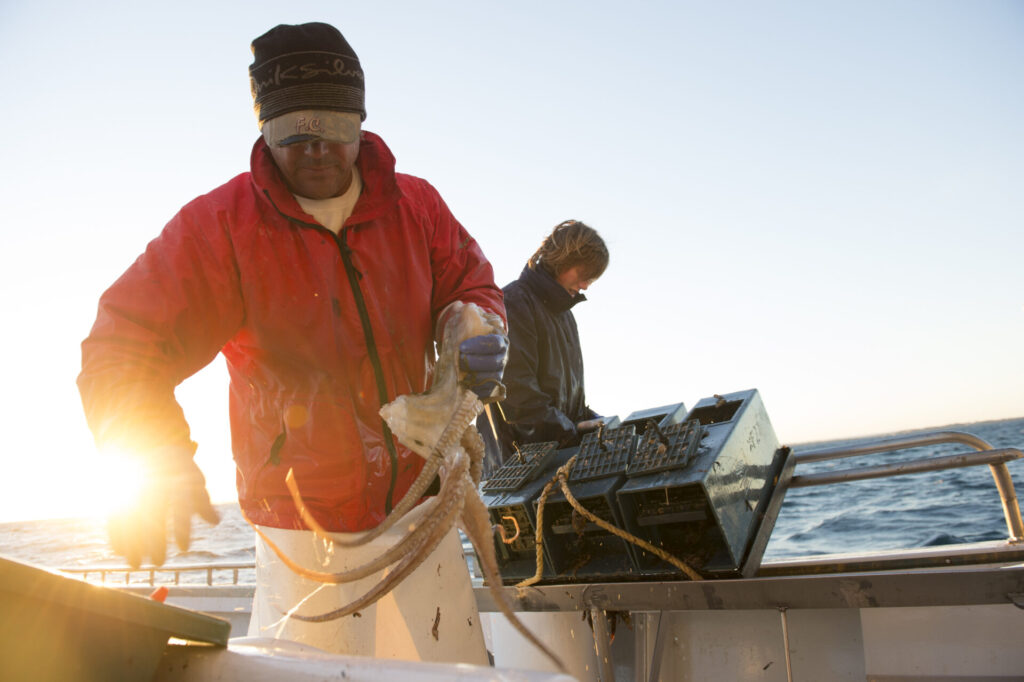 Bob Stone Octopus Fishing