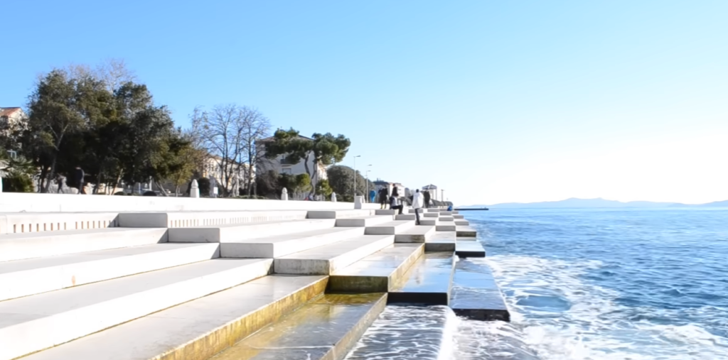 SeaOrgan